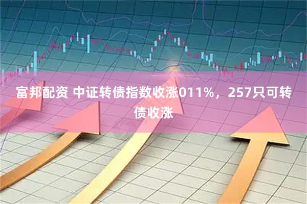 富邦配资 中证转债指数收涨011%，257只可转债收涨